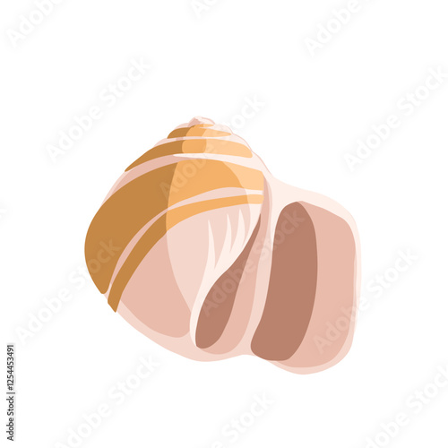 vector drawing sea shell, seashell isolated at white background, hand drawn illustration