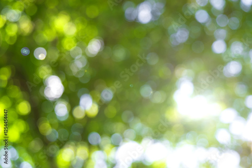 Abstract sunlight bokeh green background. spring and green season..