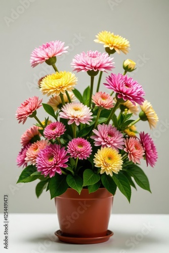 Wallpaper Mural Chrysanthemum flower arrangement in a garden planter, flowers, chrysanthemums Torontodigital.ca