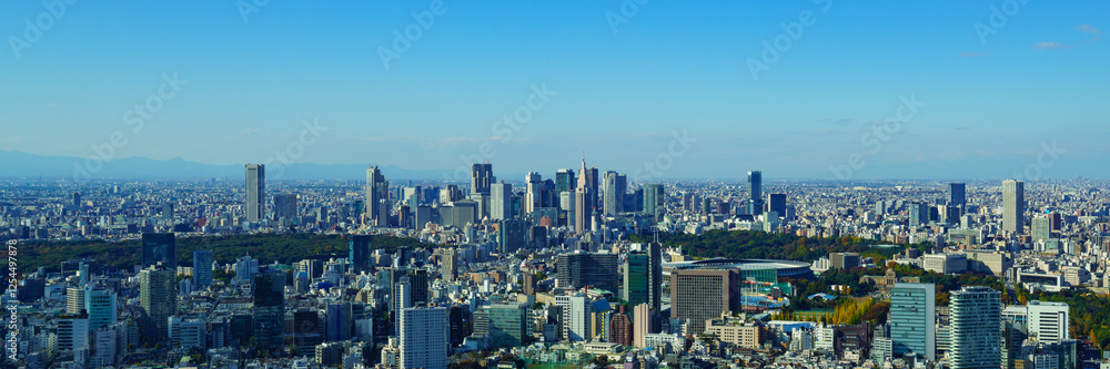 Panoramic view of Tokyo Shinjuku area at daytime