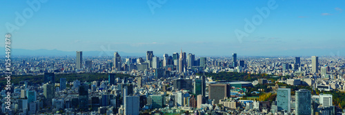 Obraz na płótnie Panoramic view of Tokyo Shinjuku area at daytime w salonie