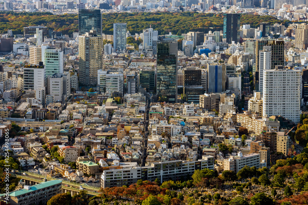 Residential houses in central Tokyo area at daytime