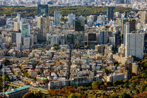 Obraz na płótnie Residential houses in central Tokyo area at daytime w salonie