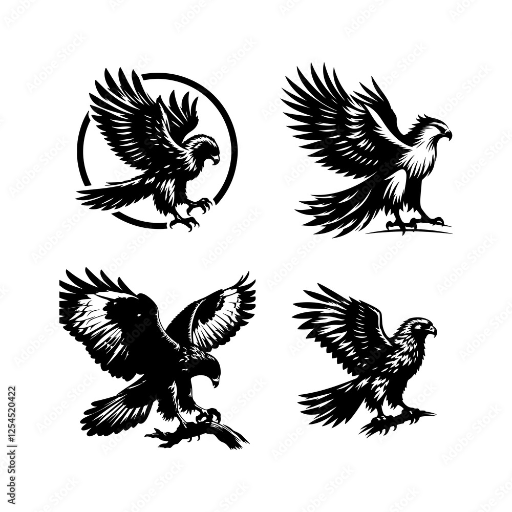 Obraz premium Hawk Silhouette white background