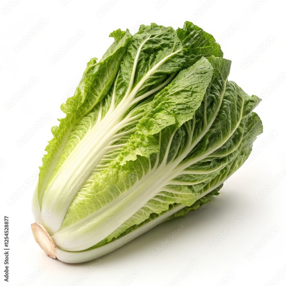 Fresh Green Cabbage with Crisp Leaves on a Bright Background for Healthy Cooking Ideas Fresh Green Cabbage with Crisp Leaves on a Bright Background for Healthy Cooking Ideas