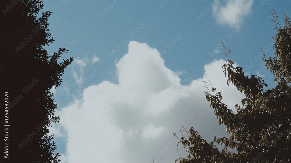 Cloudy sky viewed between trees, sunny day, nature background, website banner Cloudy sky viewed between trees, sunny day, nature background, website banner