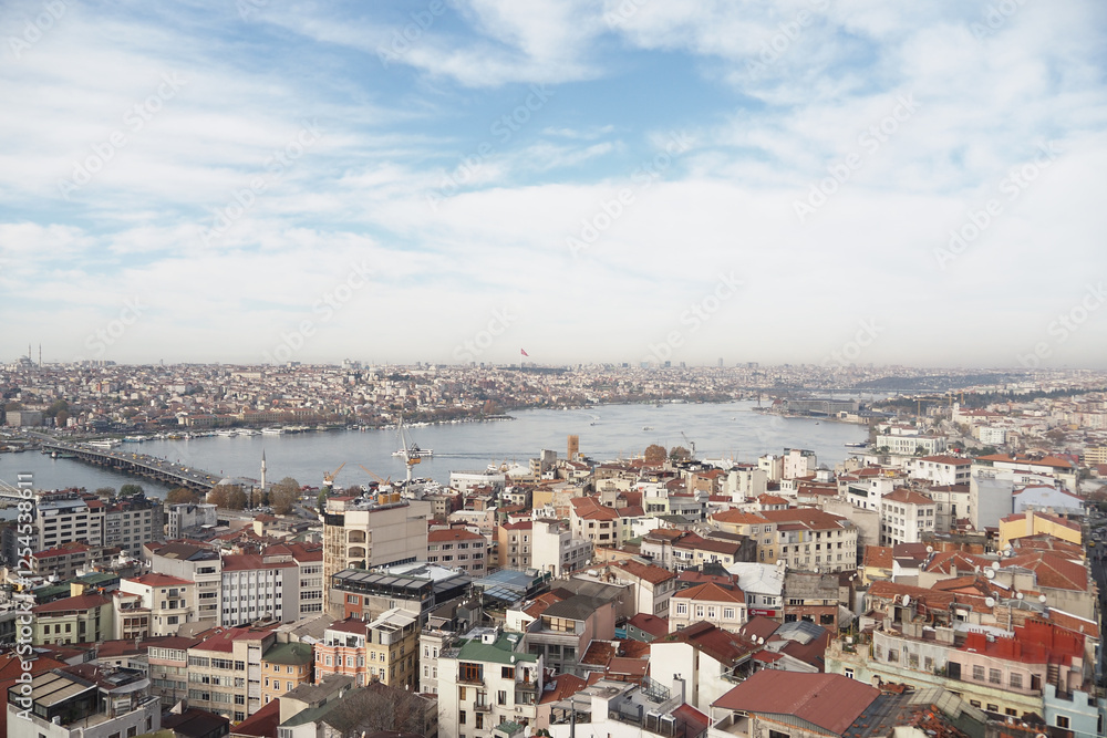 Fototapeta premium Cityscape over Istanbul with a view of the river and skyline