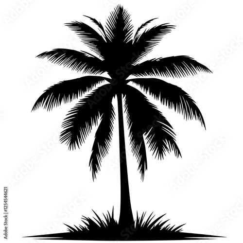 Silhouette of coconut tree