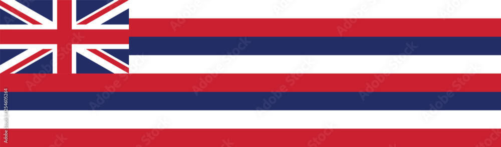 Fototapeta premium Hawaii flag long banner digital vector illustration