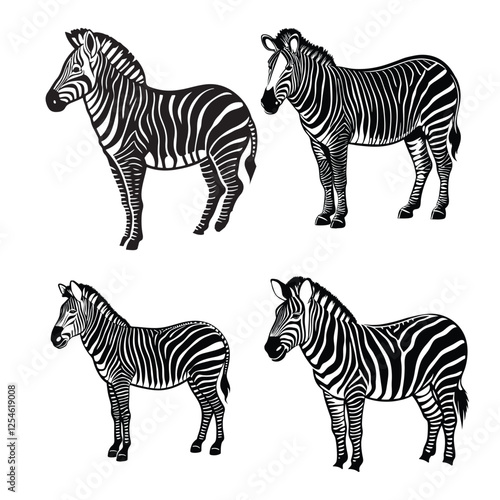zebras isolated on white background