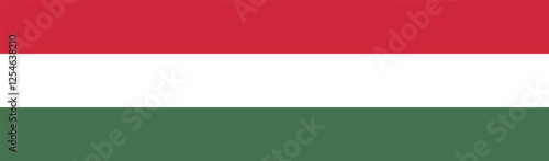 Flag of Hungary. Hungary flag long banner digital vector illustration