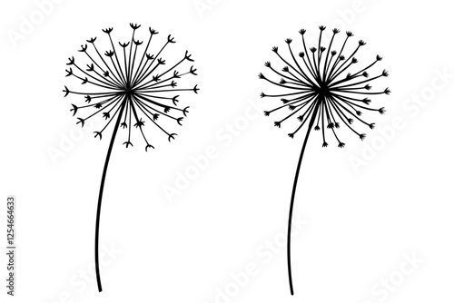 Dandelion Hollow line art vector illustration