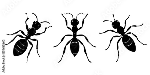 set of black silhouettes of ants