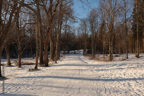 Fototapeta kuchenna Winter