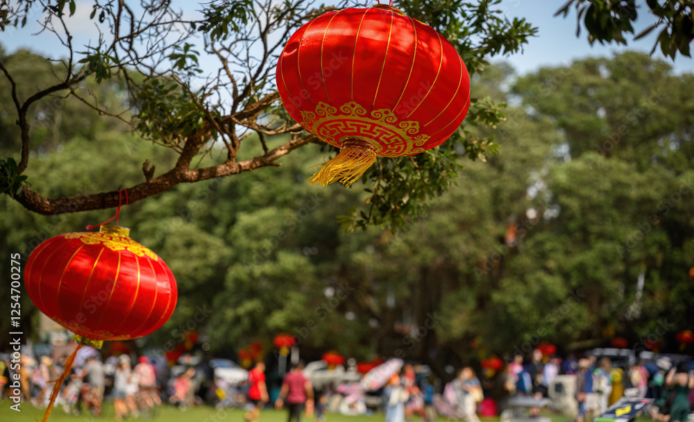 Red lanterns hanging under the Pohutukawa trees. Big crowd of people celebrating Chinese New Year. Auckland.