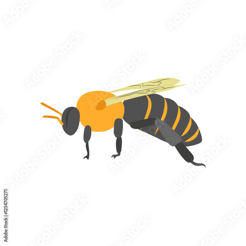 Bee, Farming Flat Vector Illustration