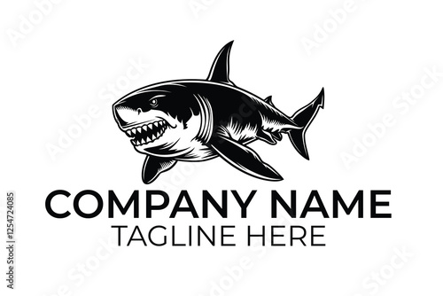 shark isolated on white