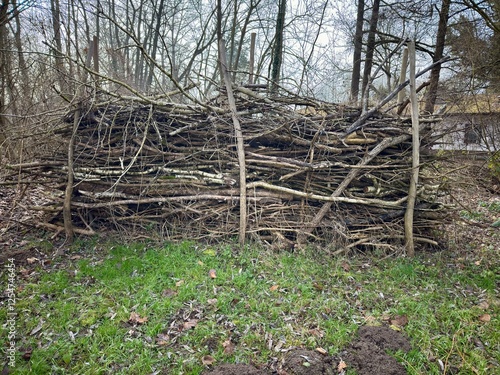 Naturnahe Benjeshecke aus Totholz
