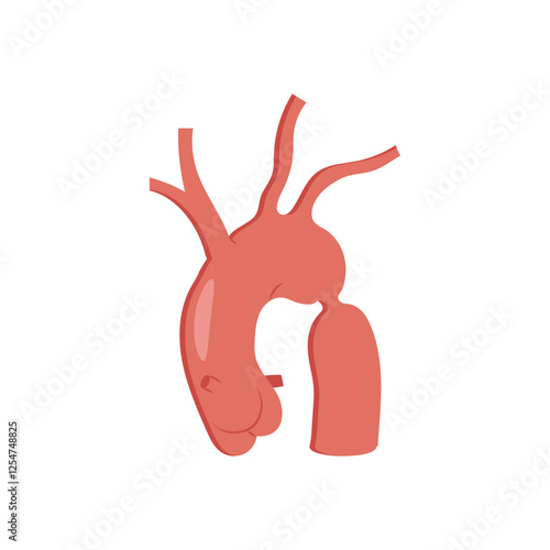 Coarctation of Aorta, Cardiovascular Disease Illustration Icon