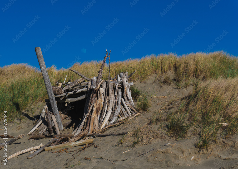 Driftwood structure built on sand dunes on california coast with the moon in the sky Driftwood structure built on sand dunes on california coast with the moon in the sky
