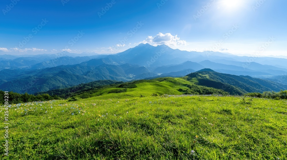 Sunny mountain meadow landscape, scenic view, wildflowers, summer Sunny mountain meadow landscape, scenic view, wildflowers, summer