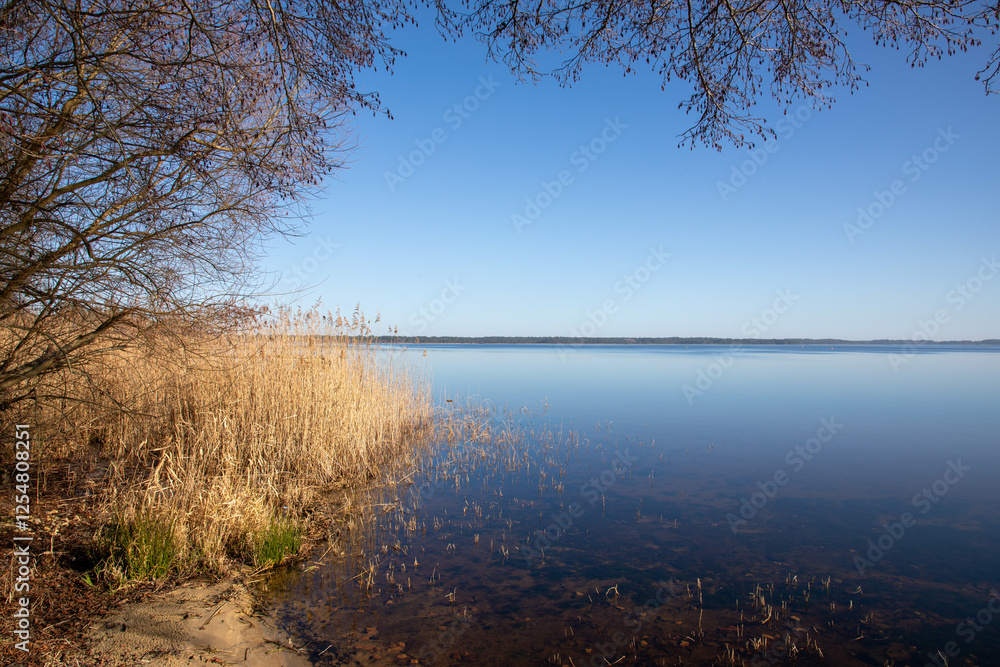 summer landscape on Lacanau wild beach lake on the sandy beach summer landscape on Lacanau wild beach lake on the sandy beach