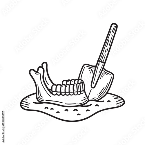 A close up of a jawbone fossil partially buried in the sand near an old excavation tool