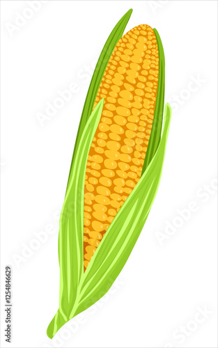 Ripe Corn cob. Cute corn or corncob in cartoon style. Maize growth plant. Organic food, vegetables and restaurant concept. Simple corn vector illustration isolated on white background.