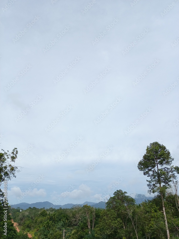 Obraz premium clouds and trees