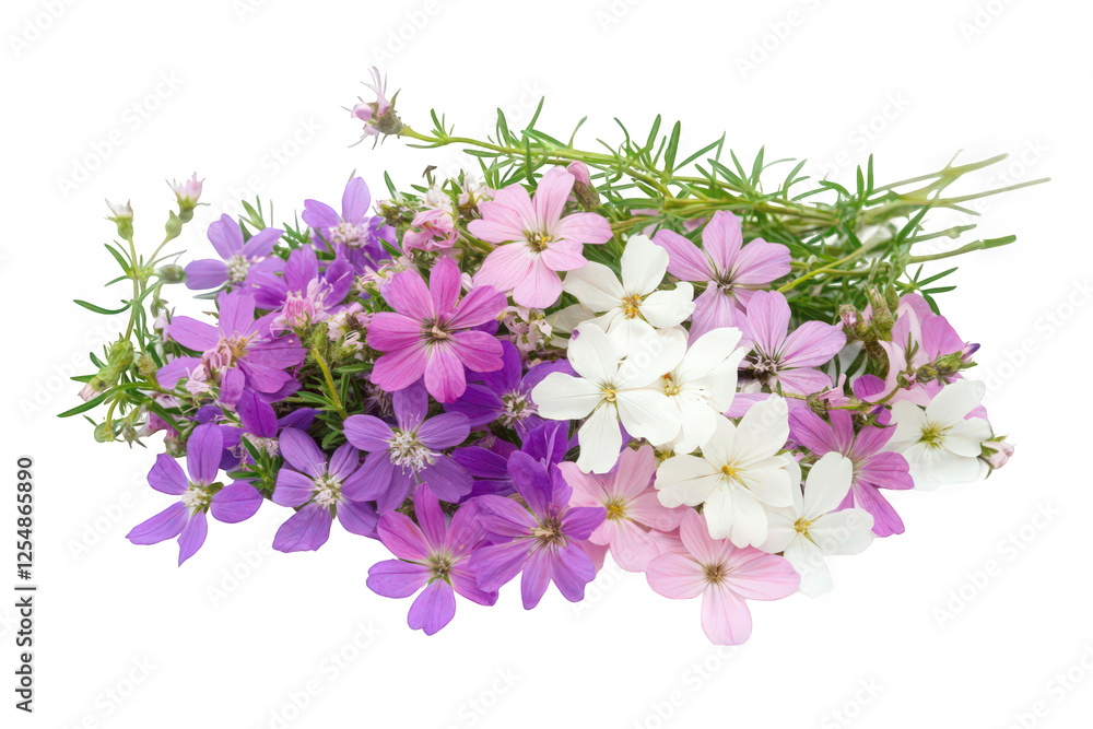 Vibrant Bouquet of Colorful Wildflowers Isolated on White Background Vibrant Bouquet of Colorful Wildflowers Isolated on White Background