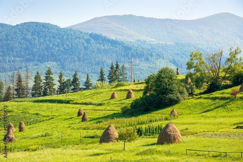 Obraz na płótnie haystacks on the agricultural field near the forest. outdoor adventure. rural landscape at the foot of the mountain in summer. beautiful countryside scenery in evening light. picturesque valley w salonie
