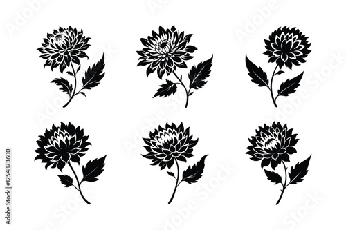 Chrysanthemum (Chrysanthemum spp.) silhouette vector art illustration