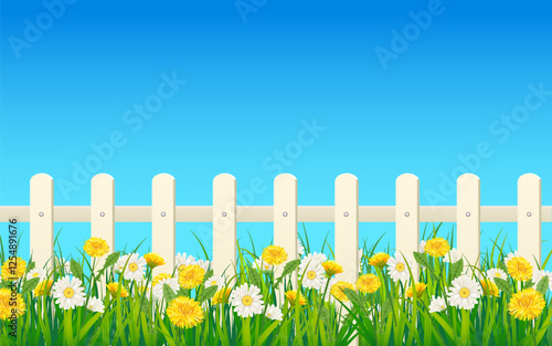 Spring landscape field green grass, daisy, dandelion flowers