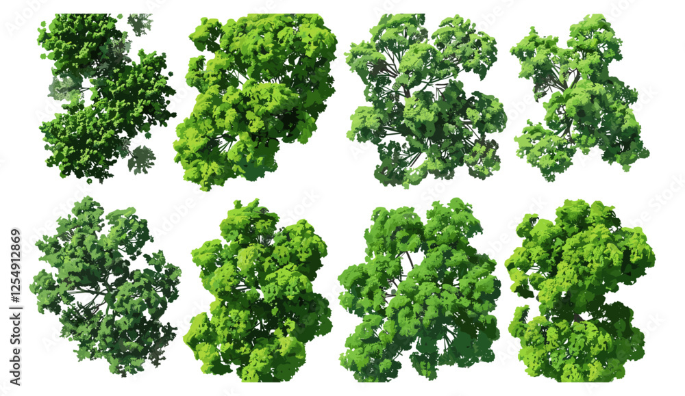Vector illustration, Aerial view canopy trees parks 3d render png isolated, transparent background, green nature, outdoor parks, canopy trees, environmental design, nature parks Vector illustration, Aerial view canopy trees parks 3d render png isolated, transparent background, green nature, outdoor parks, canopy trees, environmental design, nature parks