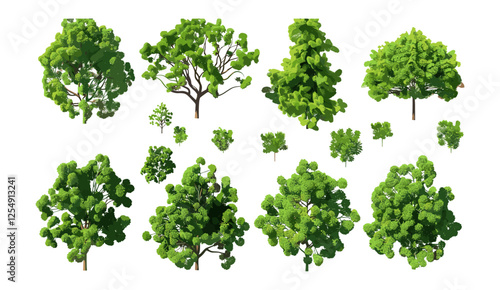 Evergreen trees aerial view, vector illustration, cutout shapes, transparent backgrounds, png, forest landscape, nature, tree canopy, green scenery, environment, top-down view, foliage