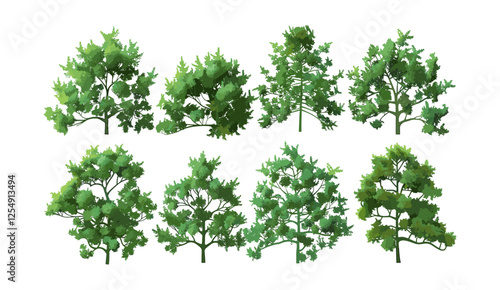 Vector illustration evergreen trees, aerial view, cutout shapes, transparent backgrounds, png, nature, forest top view, woodland, green landscape, isolated, eco, foliage, treetop, scenery