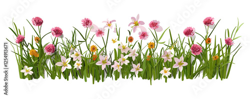 Flowers blossoms row aerial view vector illustration cutout on transparent backgrounds png, floral ornament, nature background, botanical frame, seamless floral border