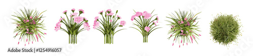Aerial view vector illustration of pink flowers gardening set, 3d illustrations on transparent background, PNG, floral design, gardening art, nature, botanical, flowers, home decor, floral