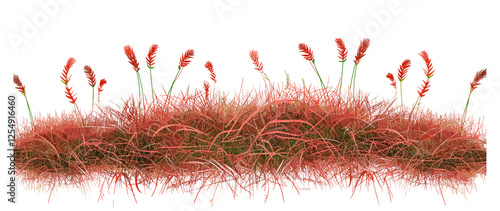 Vector illustration, red flora, grass fields, transparent background, aerial view, png image, cutout flora, nature fields, botanical design, red flowers, nature landscape