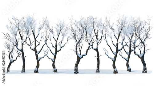 Vector illustration of bare trees, landscaping covered by snow, icy coldness, transparent background, winter scenery, nature, frost, chilly environment, frozen trees, PNG