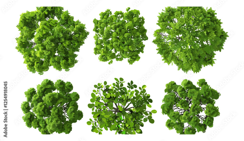 Naklejka premium Vector illustration top view of big green trees shape cut out transparent background, nature design, eco-friendly, forest illustration, tree silhouette, landscape vector art