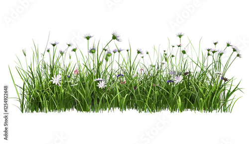 Grass flowery 3D render cut-out vector illustration, horizontal prairie row, meadow, flowers, nature, greenery, wildflowers, fresh, outdoor, natural, environment, PNG