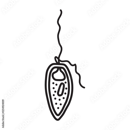 prorocentrum dinoflagellates line icon