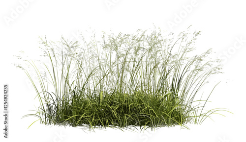 Vector illustration prairie grass field, 3d rendering cut out, green landscape, nature background, outdoor scenery, field view, summer field, green grass, natural environment