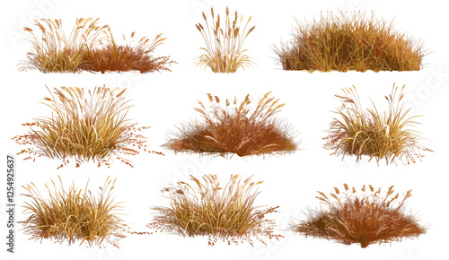 vector illustration dried grass cutout, savanna field, meadows set, transparent backgrounds, prairie, wild grass, dry vegetation, nature clipart, landscape design, isolated elements