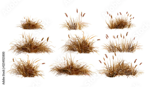 Dried grass cutout, vector illustration, 3D render PNG, transparent backgrounds, meadows set, savanna field, prairie scene, wild nature, terrain elements, countryside view, seasonal dry plants