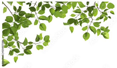 3d rendering PNG, cutout greenery tree branches, leaves, transparent background, vector illustration, natural foliage, realistic tree design, isolated branches, nature illustration