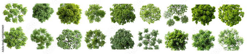 Trees set cutout, vector illustration, png file, landscaping design, nature elements, top view, environmental art, tree silhouettes, green forest, landscape elements Trees set cutout, vector illustration, png file, landscaping design, nature elements, top view, environmental art, tree silhouettes, green forest, landscape elements