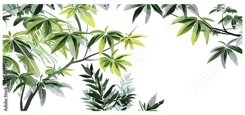 Tropical tree branch vector illustration, cutout style, transparent background, palm leaves, nature background, tropical foliage, exotic plants, summer green