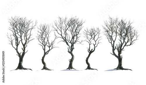 Leafless trees, vector illustration, dry tree, standing, transparent backgrounds, silhouette, nature, isolated, winter season, black tree, artistic, design, background, PNG, clipart, barren
